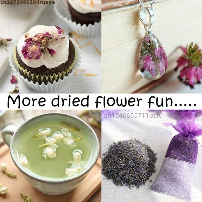 براعم شجرة الصفورا اليابانية ا - مراجعة Art Craft Flower Making وسعره