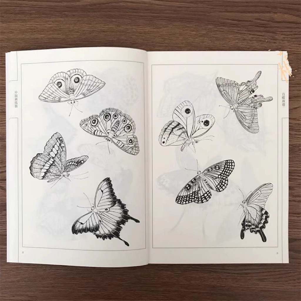 كتاب تلوين للكبار 94 صفحة مائة - مراجعة Chinese Art Craft وسعره