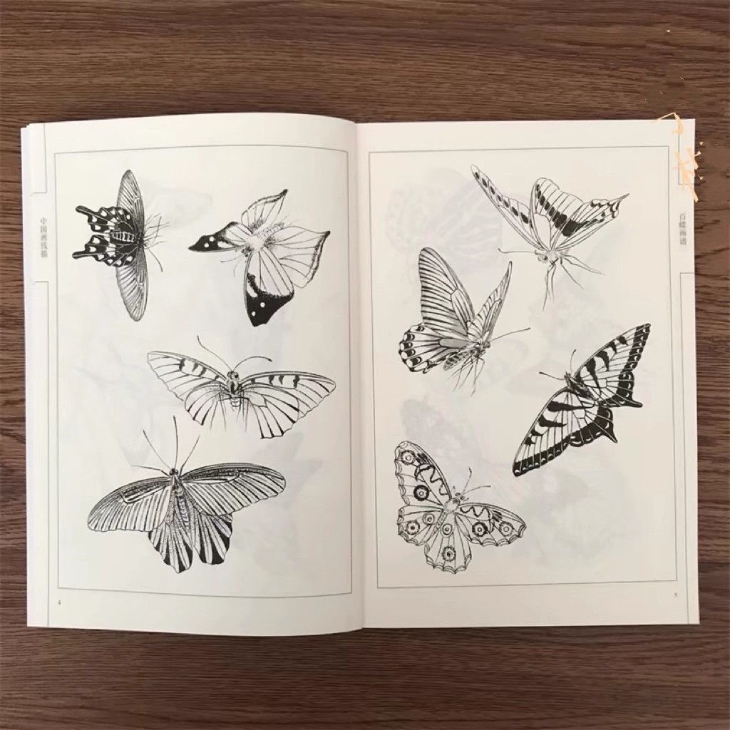 كتاب تلوين للكبار 94 صفحة مائة - مراجعة Chinese Art Craft وسعره