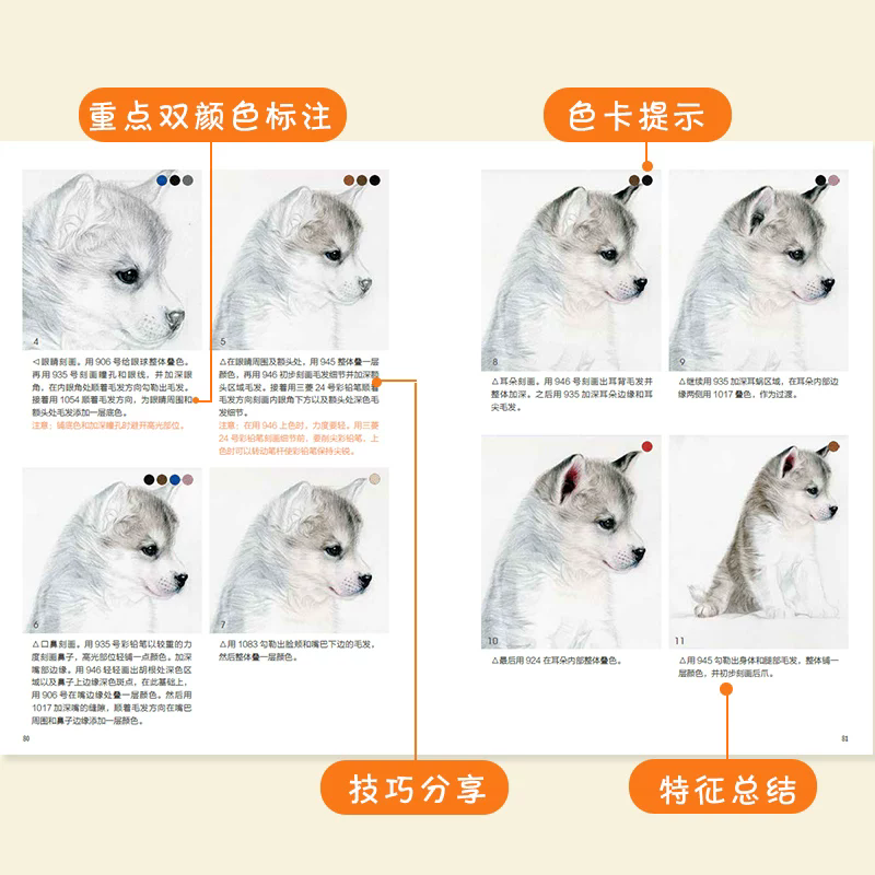 كتاب رسم ملون للقطط والكلاب ال - مراجعة Chinese Art Craft وسعره