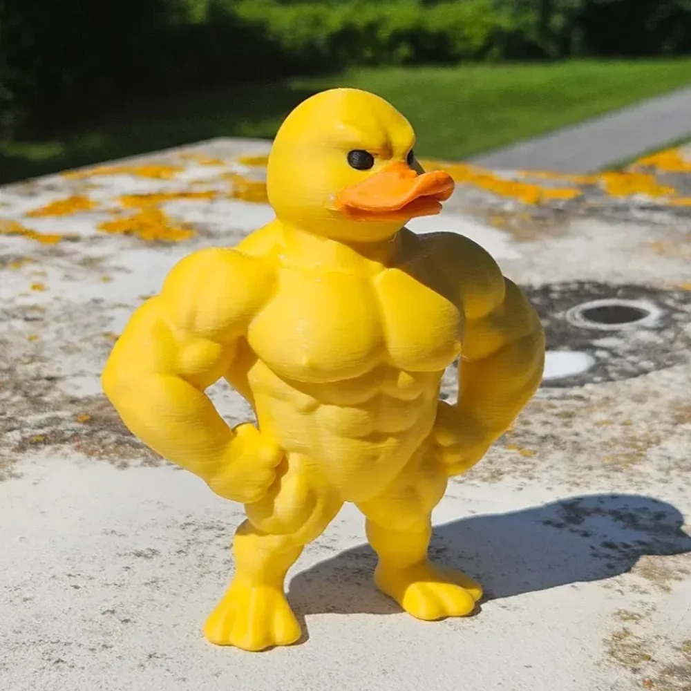 تمثال بطة العضلات - ديكور سطح  - مراجعة Art Craft Duck وسعره